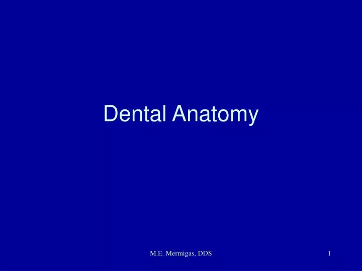 dental anatomy