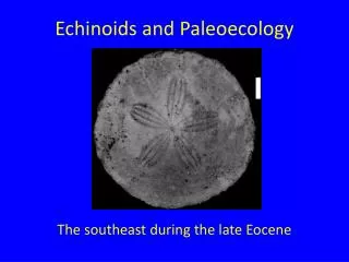 Echinoids and Paleoecology
