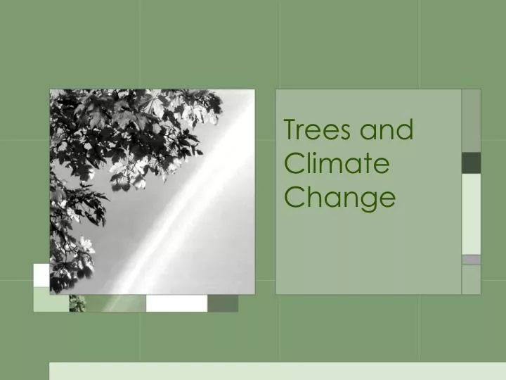 trees and climate change