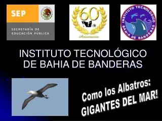 INSTITUTO TECNOLÓGICO DE BAHIA DE BANDERAS