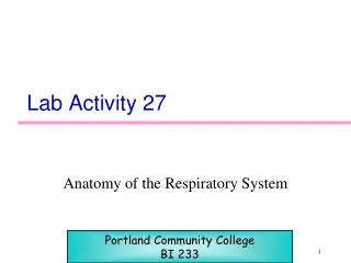 Lab Activity 27