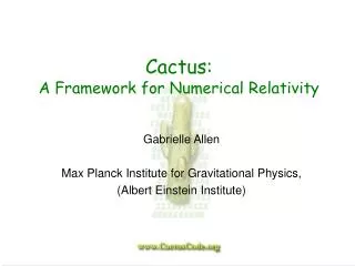 Cactus: A Framework for Numerical Relativity