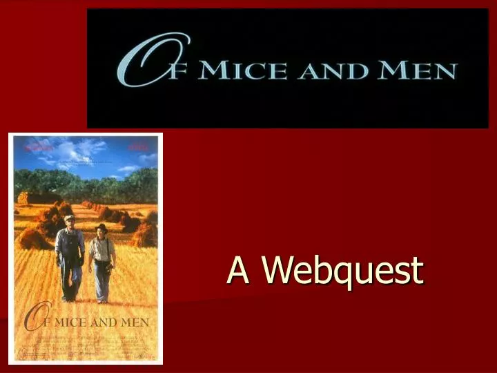 a webquest