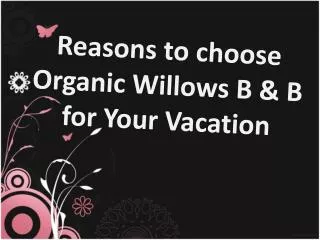 reasons to choose organic willows b & b for your vacation