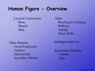 Human Figure - Overview