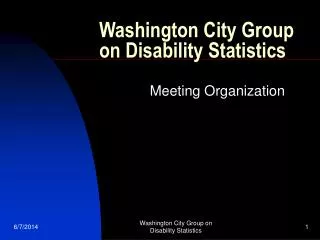 Washington City Group on Disability Statistics