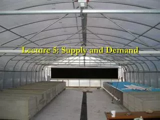 Lecture 5: Supply and Demand