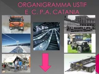 ORGANIGRAMMA USTIF E C. P.A. CATANIA