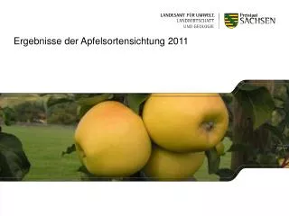 Ergebnisse der Apfelsortensichtung 2011