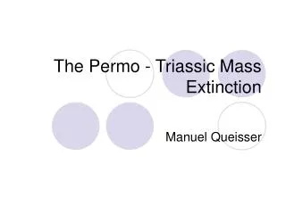 The Permo - Triassic Mass Extinction