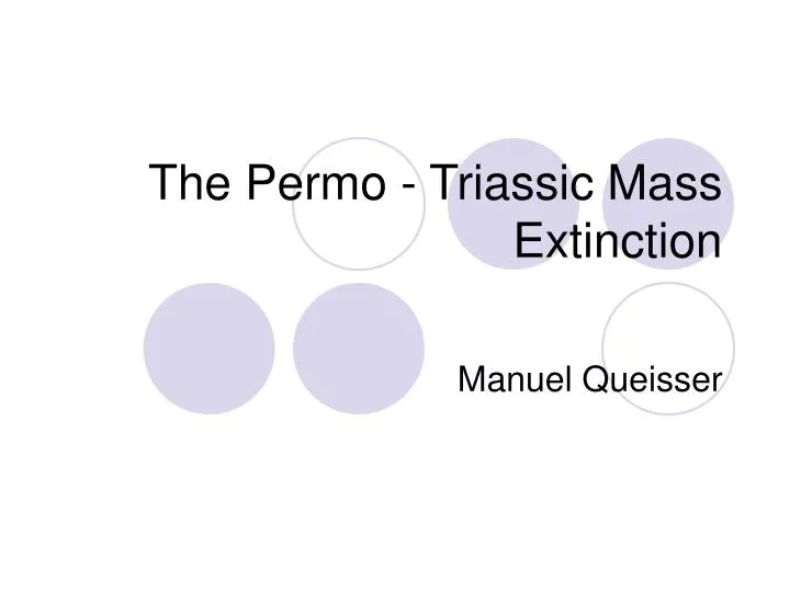 the permo triassic mass extinction