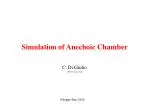 Simulation of Anechoic Chamber