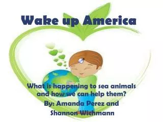 Wake up America