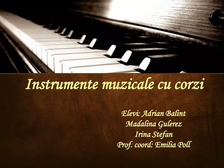 instrumente muzicale cu corzi