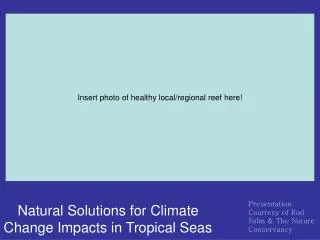 Natural Solutions for Climate Change Impacts in Tropical Seas
