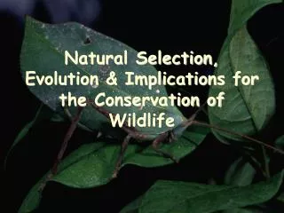 Natural Selection, Evolution &amp; Implications for the Conservation of Wildlife