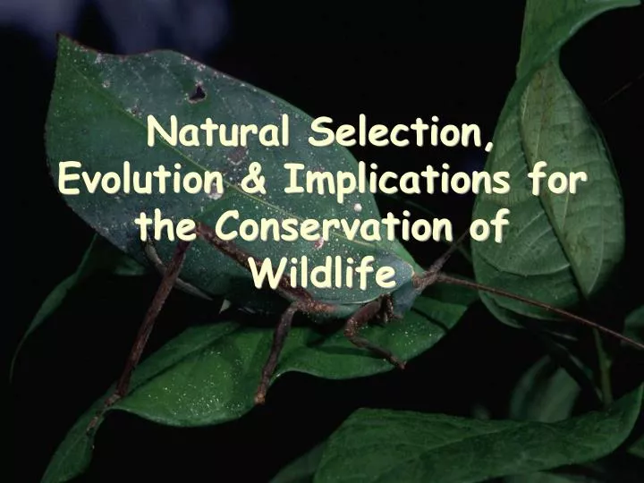 natural selection evolution implications for the conservation of wildlife