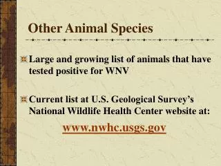 Other Animal Species