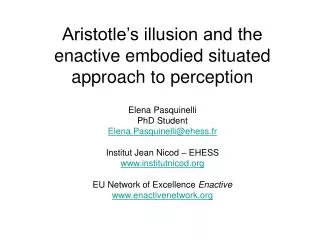 Aristotle’s illusion and the enactive embodied situated approach to perception