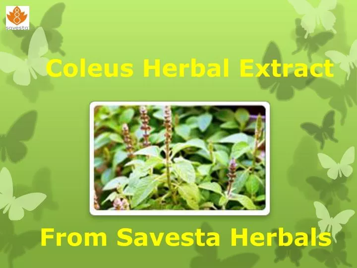coleus herbal extract