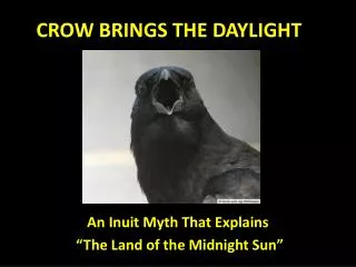 CROW BRINGS THE DAYLIGHT