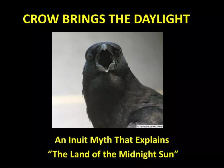 crow brings the daylight