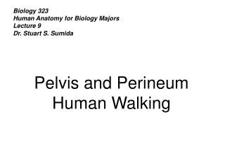 Biology 323 Human Anatomy for Biology Majors Lecture 9 Dr. Stuart S. Sumida