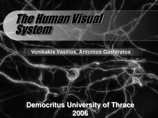 The Human Visual System