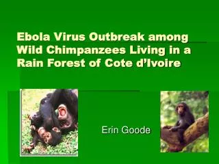 Ebola Virus Outbreak among Wild Chimpanzees Living in a Rain Forest of Cote d’Ivoire