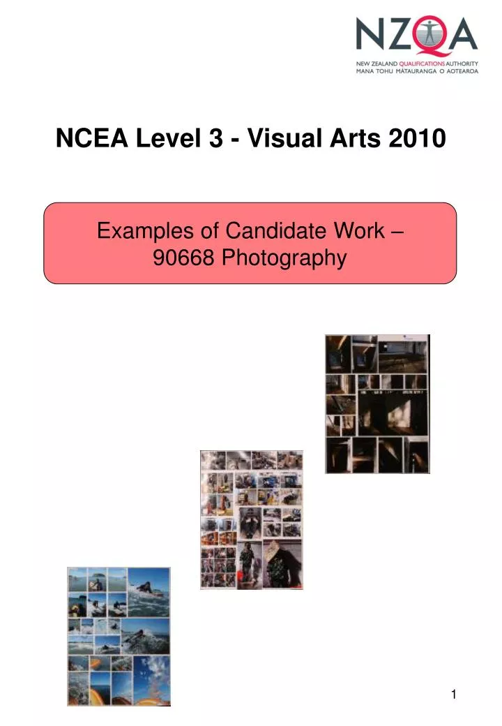 ncea level 3 visual arts 2010