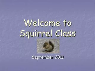 Welcome to Squirrel Class