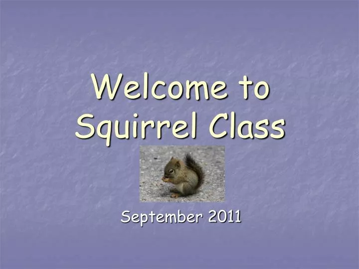 welcome to squirrel class
