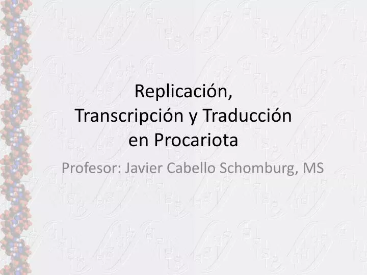 replicaci n transcripci n y traducci n en procariota