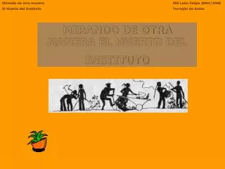 MIRANDO DE OTRA MANERA EL HUERTO DEL INSTITUTO
