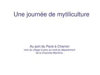 une journ e de mytiliculture