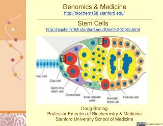 Genomics &amp; Medicine http://biochem158.stanford.edu/