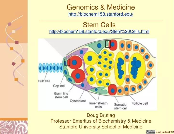 genomics medicine http biochem158 stanford edu