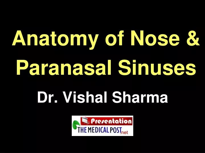 anatomy of nose paranasal sinuses
