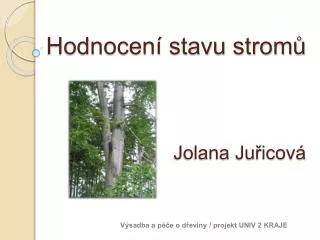 Hodnocení stavu stromů Jolana Juřicová