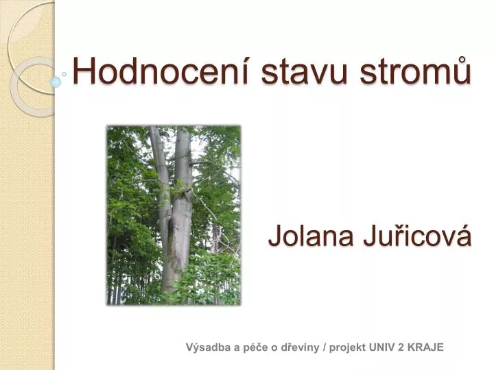 hodnocen stavu strom jolana ju icov