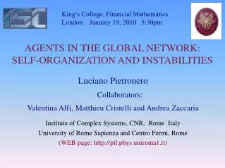 AGENTS IN THE GLOBAL NETWORK: SELF-ORGANIZATION AND INSTABILITIES