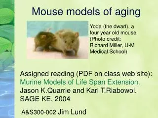 Mouse models of aging