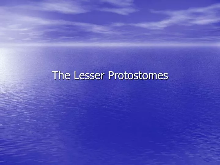 the lesser protostomes