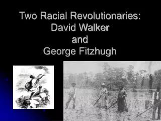 Two Racial Revolutionaries: David Walker and George Fitzhugh
