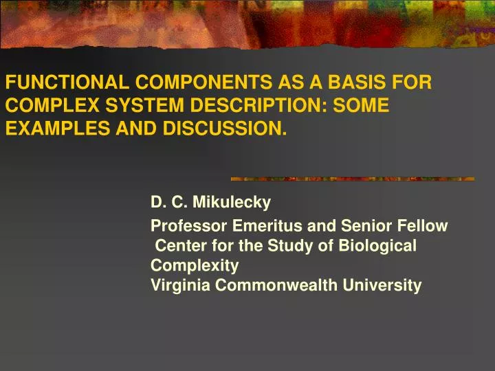 functional components as a basis for complex system description some examples and discussion