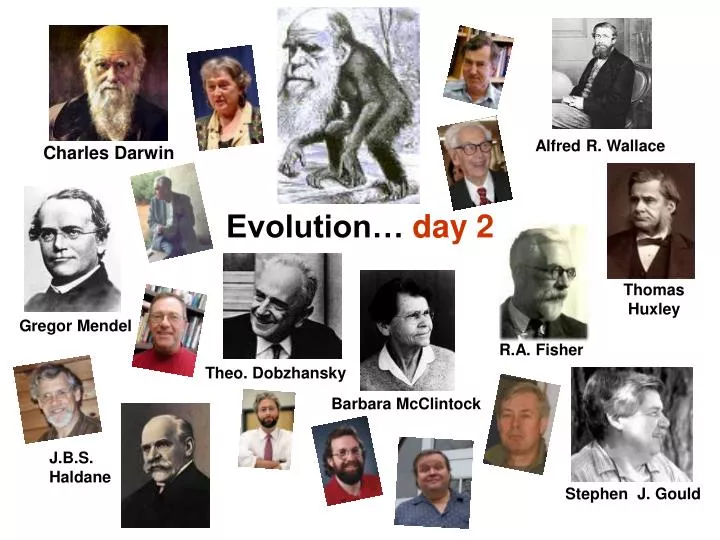 evolution day 2