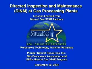 Directed Inspection and Maintenance (DI&amp;M) at Gas Processing Plants