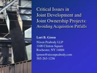 Critical Issues in Joint Development and Joint Ownership Projects: Avoiding Acquisition Pitfalls