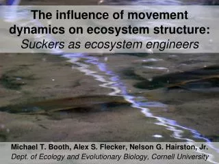 The influence of movement dynamics on ecosystem structure: Suckers as ecosystem engineers