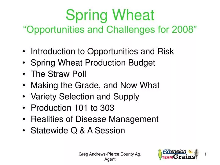 spring wheat opportunities and challenges for 2008